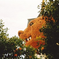 37 27-01-269 La fete du citron