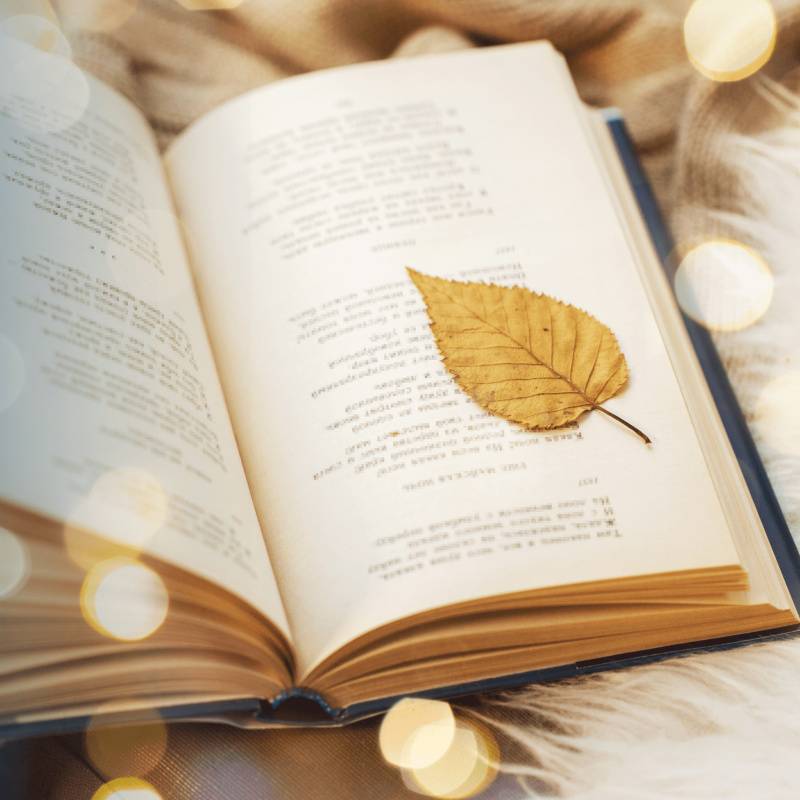 01 - Poème - Le choix par Anne Mathiot